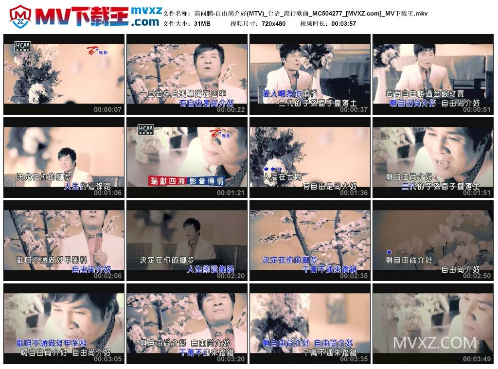高向鹏-自由尚介好(MTV)_台语_流行歌曲_MC504277